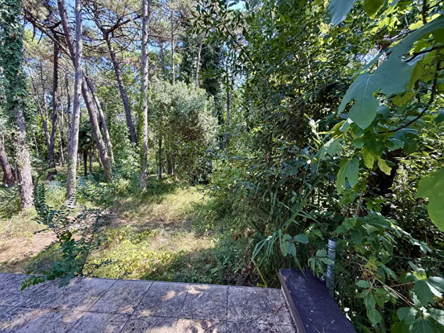 Immagine 3 di Appartamento in vendita  in via Giardini a Lignano Sabbiadoro