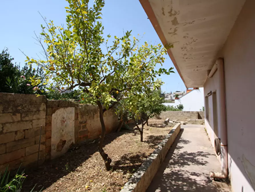 Immagine 33 di Casa indipendente in vendita  in Via Andrea Costa a Presicce-Acquarica