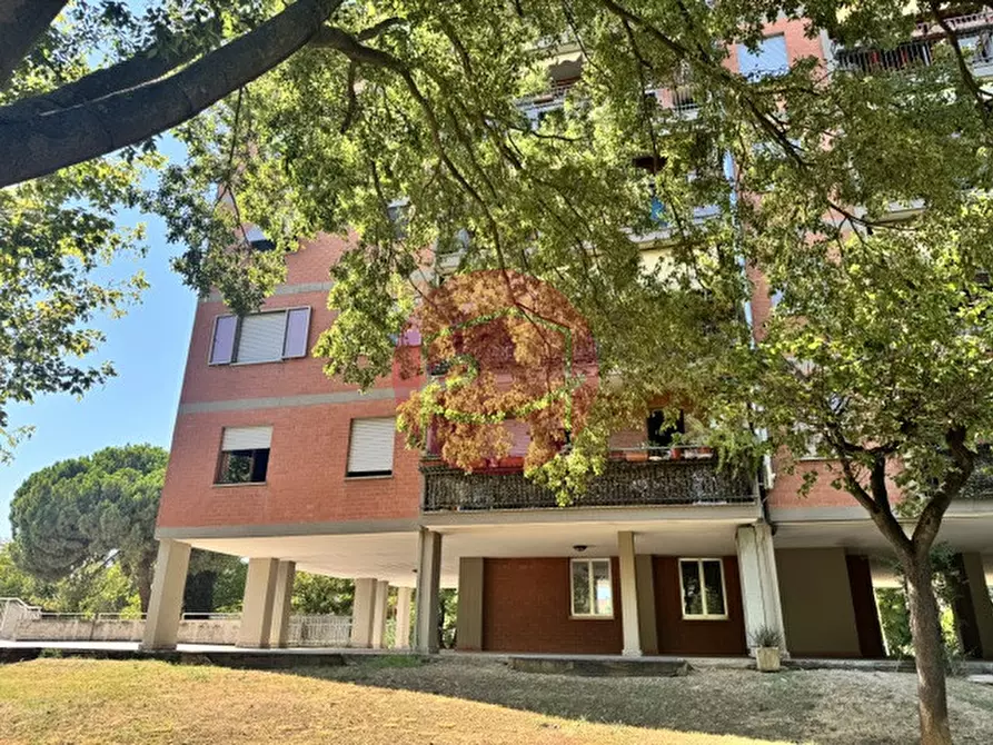 Immagine 13 di Appartamento in vendita  a Rimini