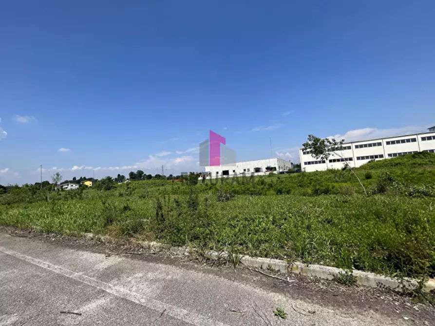 Immagine 21 di Terreno in vendita  in Via dell'Artigianato a Grantorto