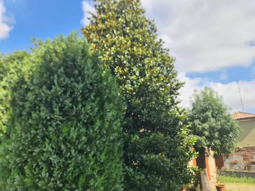 Immagine 5 di Villa in vendita  in Via Giovanni Venturini a Lagosanto