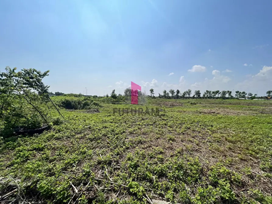 Immagine 13 di Capannone industriale in vendita  in Via postumia a Carmignano Di Brenta