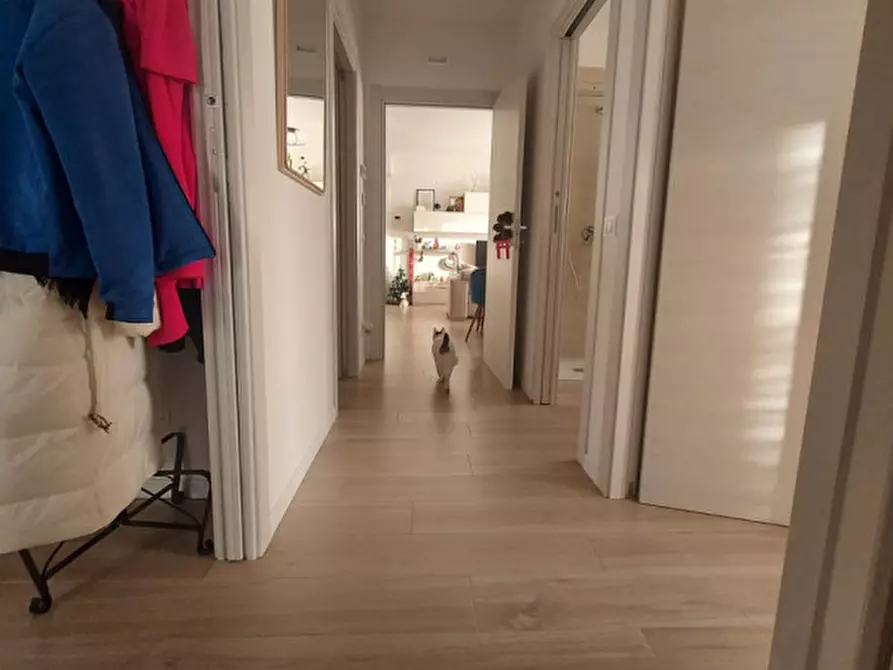 Immagine 14 di Appartamento in affitto  in Casalserugo a Casalserugo