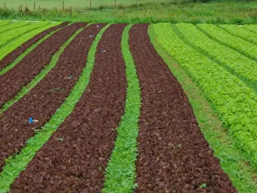 Immagine 1 di Terreno in vendita  in via Del Gallo 20 a Abano Terme