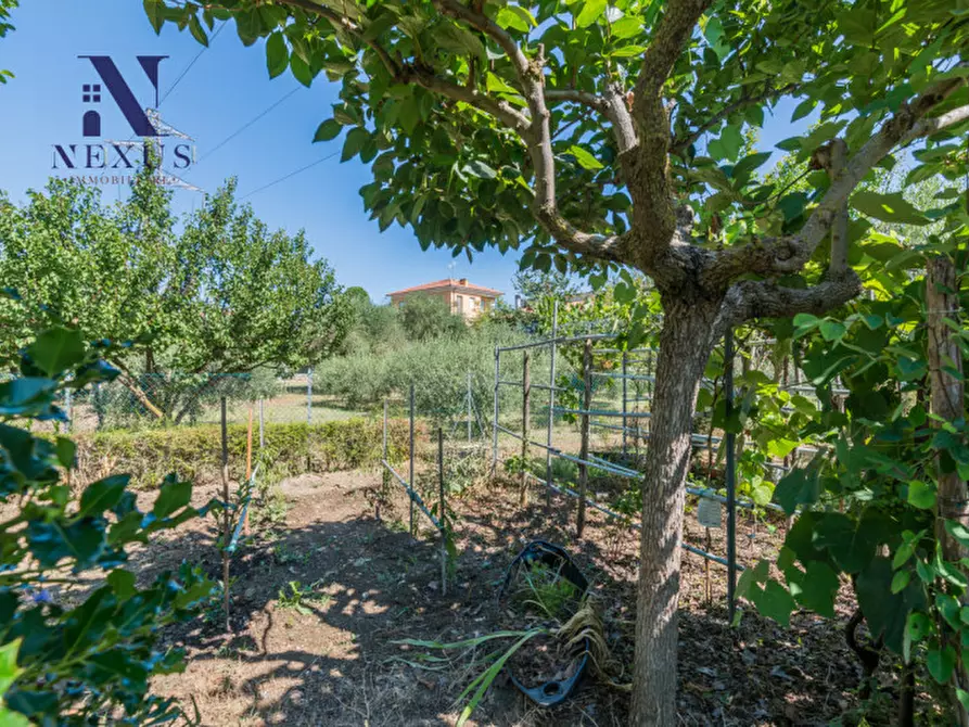 Immagine 39 di Appartamento in vendita  in Via Osimo a Fano