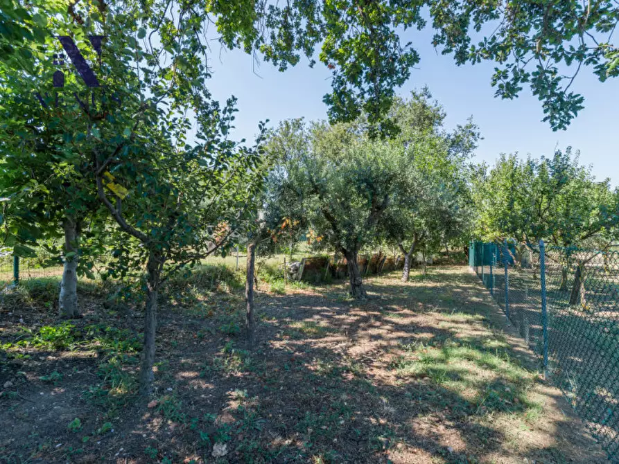 Immagine 41 di Appartamento in vendita  in Via Osimo a Fano