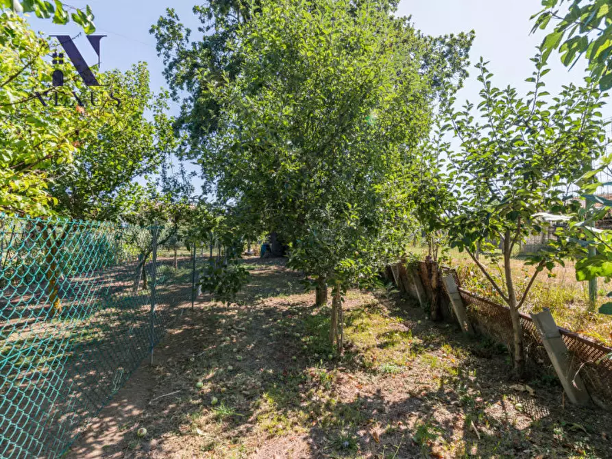 Immagine 42 di Appartamento in vendita  in Via Osimo a Fano