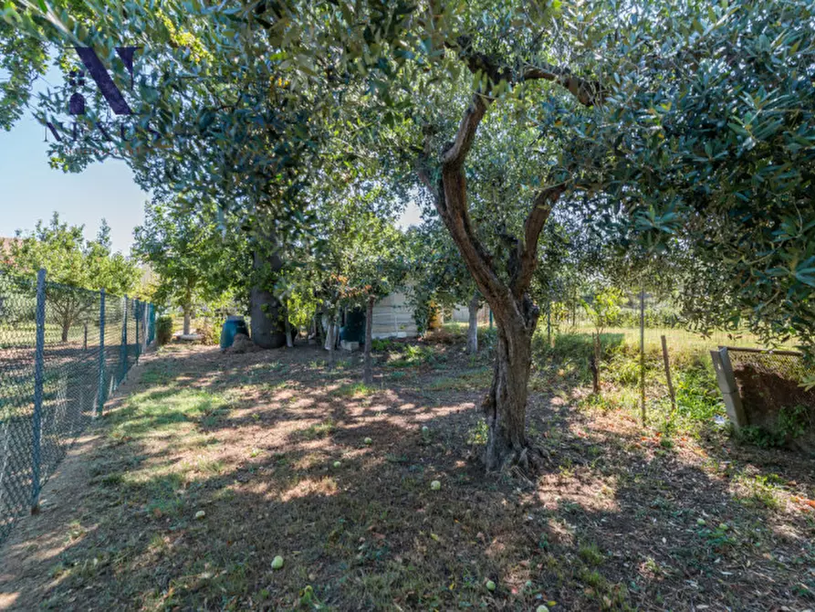 Immagine 43 di Appartamento in vendita  in Via Osimo a Fano