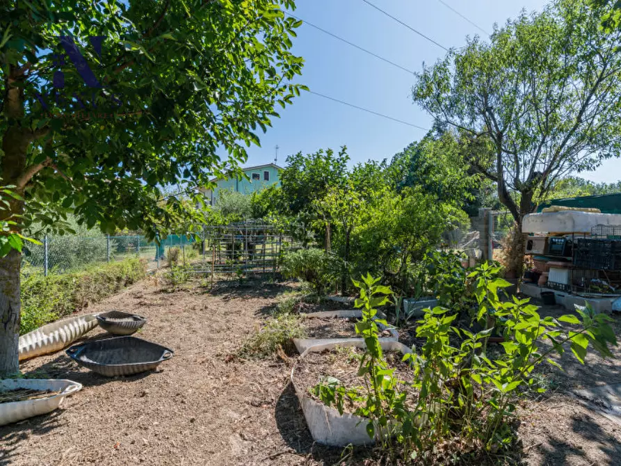 Immagine 44 di Appartamento in vendita  in Via Osimo a Fano
