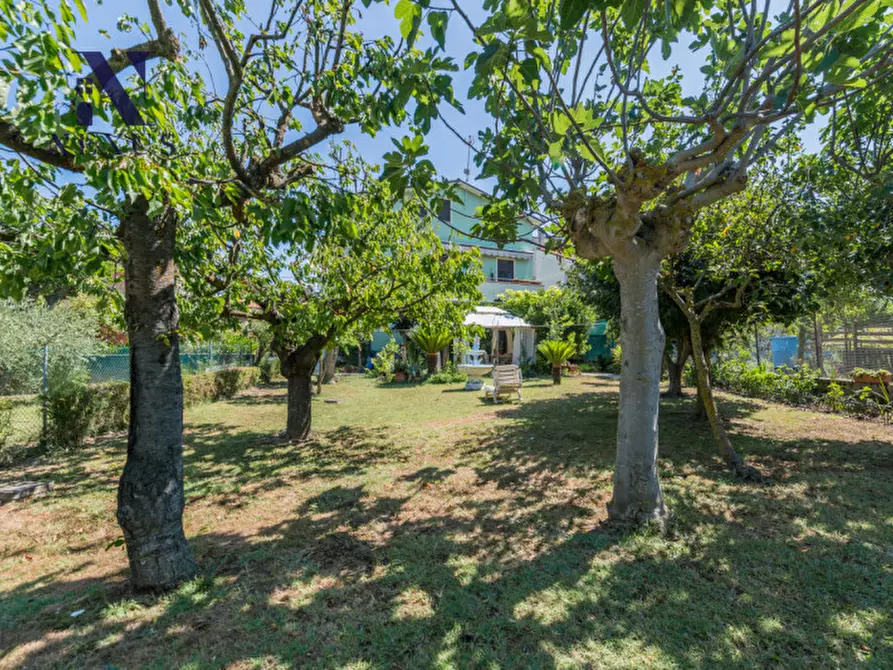Immagine 47 di Appartamento in vendita  in Via Osimo a Fano