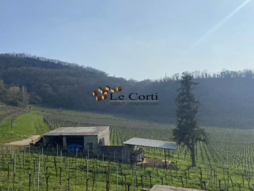 Immagine 1 di Terreno in vendita  a Sarego