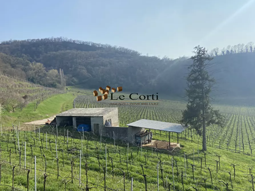 Immagine 2 di Terreno in vendita  a Sarego