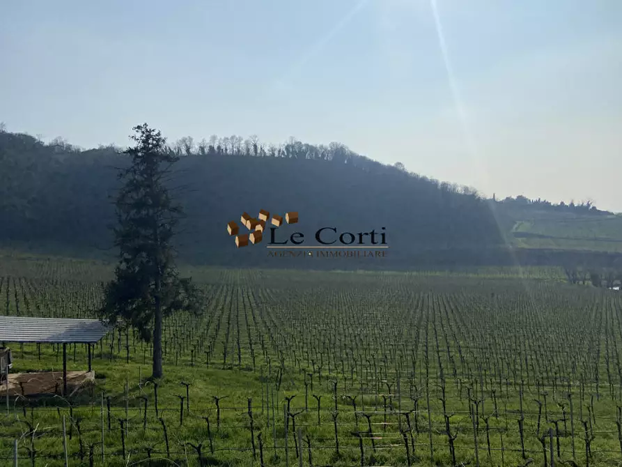 Immagine 3 di Terreno in vendita  a Sarego