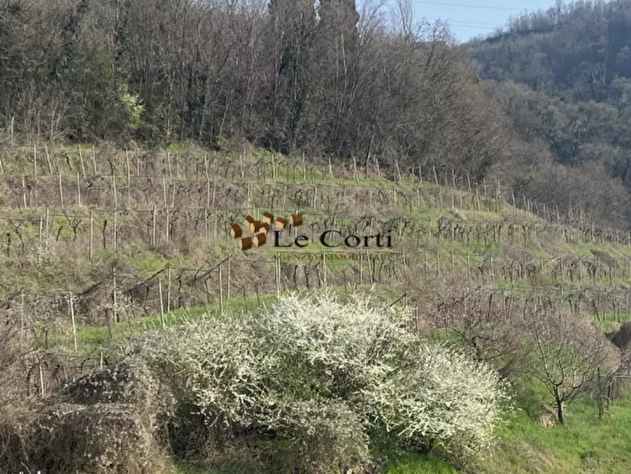 Immagine 4 di Terreno in vendita  a Sarego