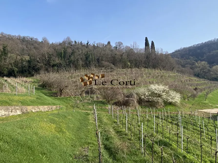 Immagine 5 di Terreno in vendita  a Sarego