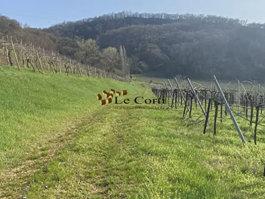 Immagine 6 di Terreno in vendita  a Sarego