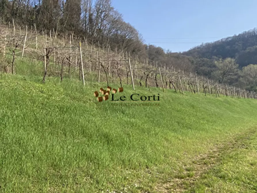 Immagine 7 di Terreno in vendita  a Sarego