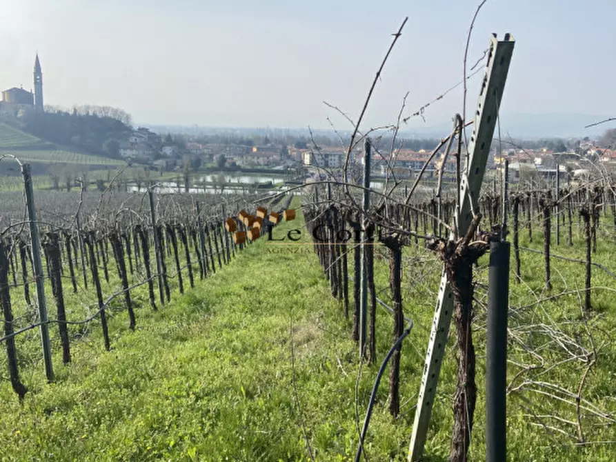 Immagine 8 di Terreno in vendita  a Sarego