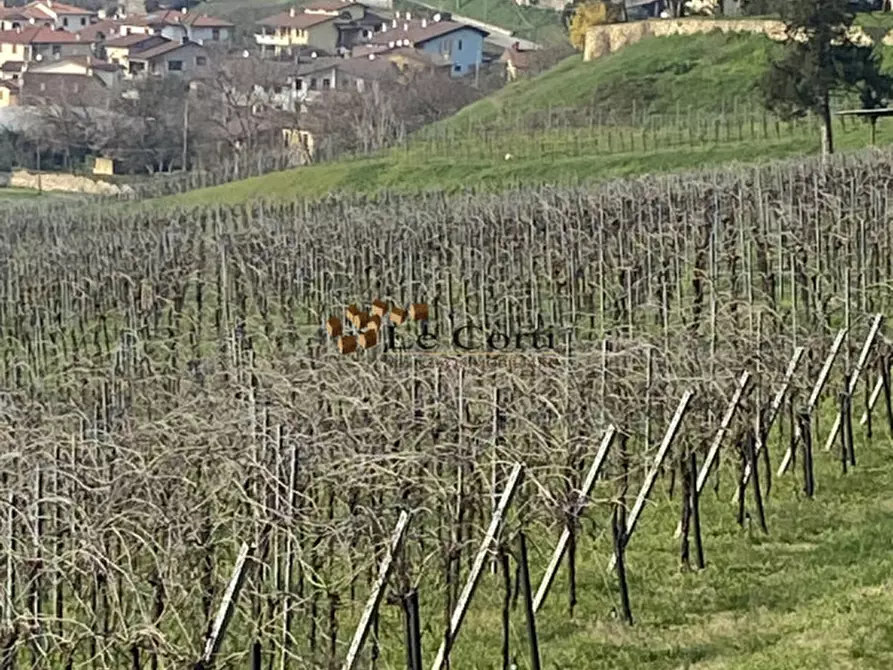 Immagine 10 di Terreno in vendita  a Sarego