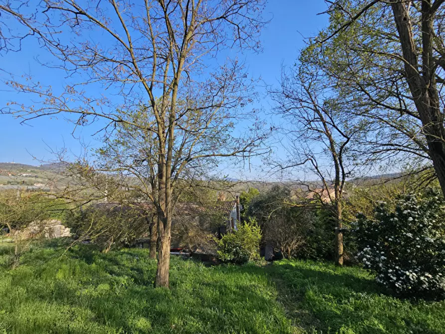 Immagine 9 di Rustico / casale in vendita  in VIA MURO a Baone