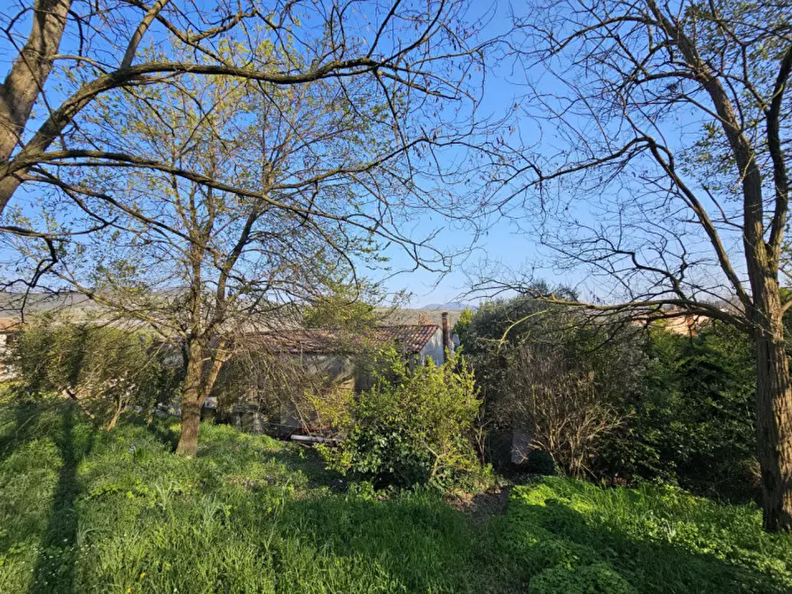 Immagine 23 di Rustico / casale in vendita  in VIA MURO a Baone