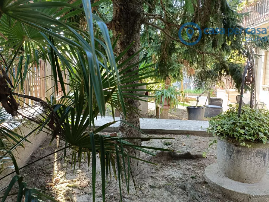 Immagine 50 di Casa trifamiliare in vendita  a Ceregnano