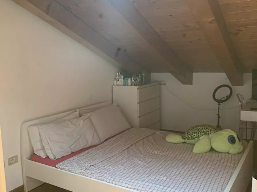 Immagine 19 di Appartamento in affitto  in Via Tor Bandena 3 a Trieste