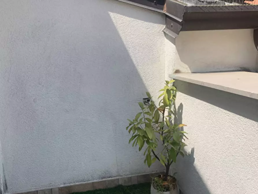 Immagine 21 di Appartamento in affitto  in Via Tor Bandena 3 a Trieste