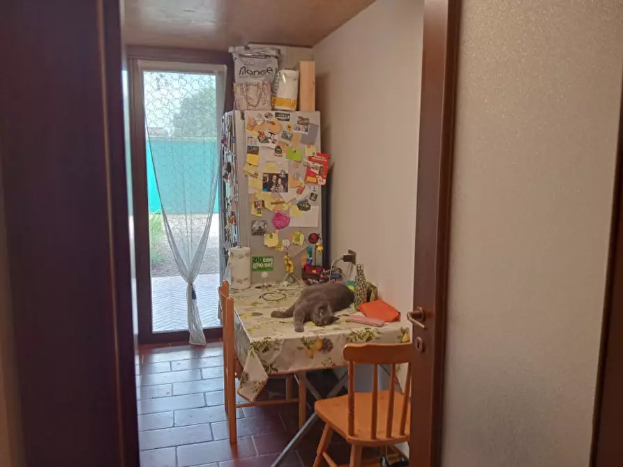 Immagine 3 di Appartamento in affitto  in Via Domenico Leonati a Padova