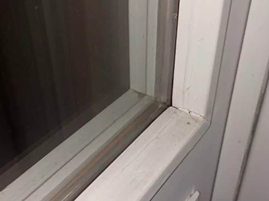 Immagine 25 di Casa bifamiliare in vendita  in via antonio bembo a Nanto
