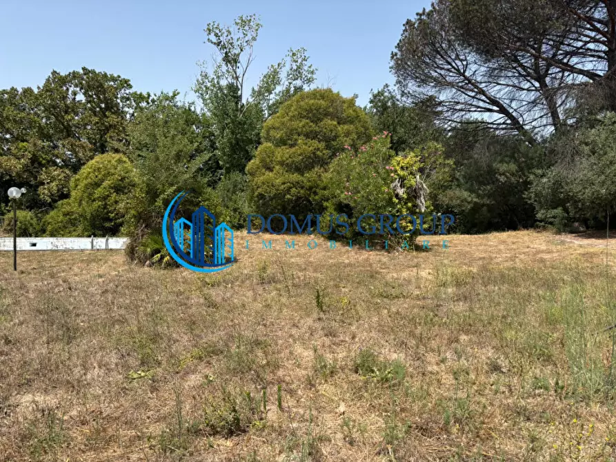 Immagine 6 di Terreno in vendita  in Via Cherasco a Roma