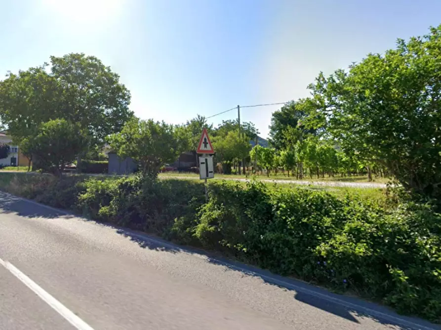 Immagine 3 di Terreno in vendita  in SP  Metaurense - Fr.ne Ca' L'Agostina a Fermignano