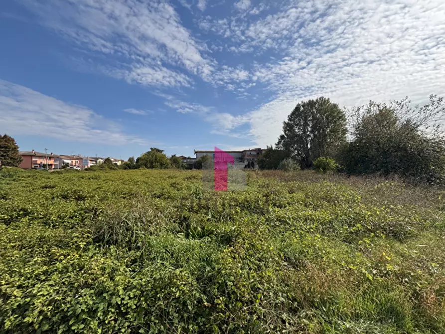 Immagine 9 di Terreno in vendita  in Via Padana Inferiore a Ospedaletto Euganeo