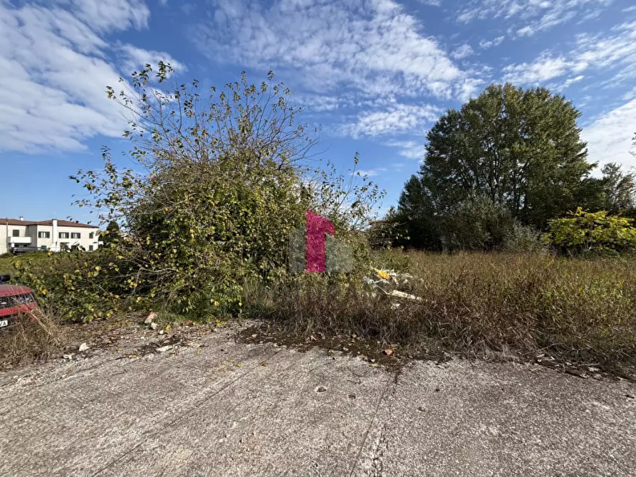 Immagine 13 di Terreno in vendita  in Via Padana Inferiore a Ospedaletto Euganeo