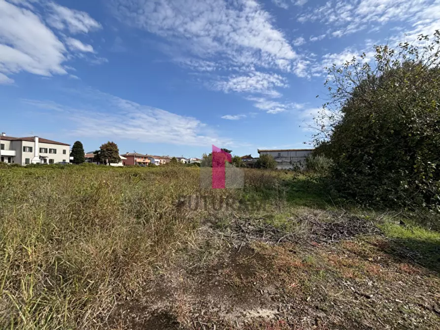 Immagine 15 di Terreno in vendita  in Via Padana Inferiore a Ospedaletto Euganeo