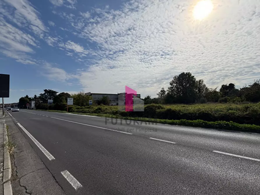 Immagine 19 di Terreno in vendita  in Via Padana Inferiore a Ospedaletto Euganeo