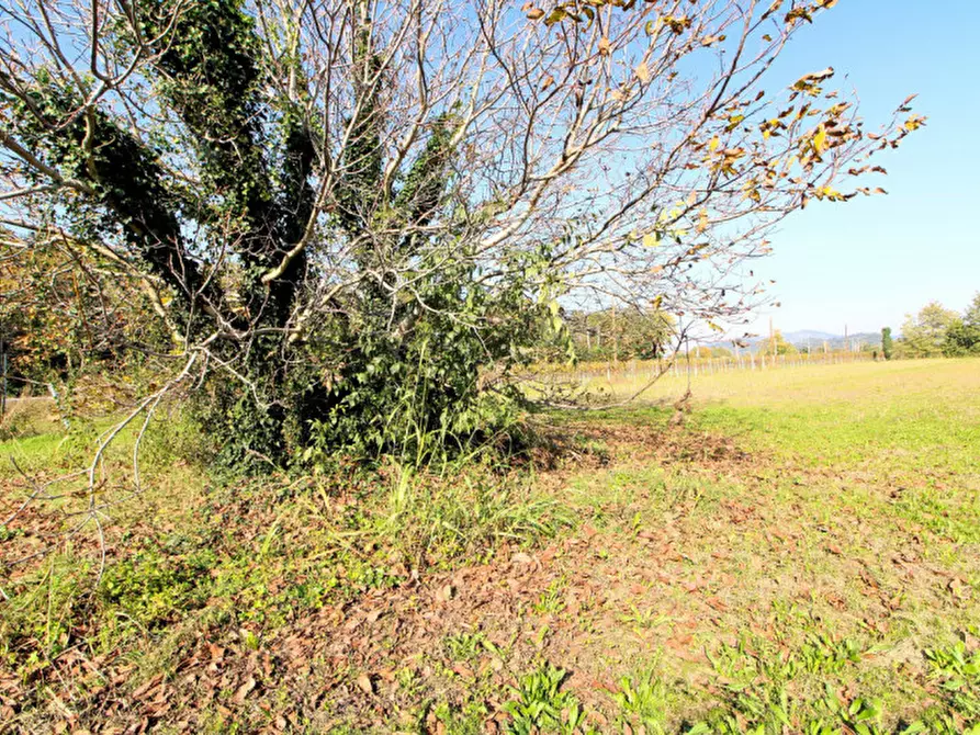 Immagine 2 di Terreno in vendita  in Via Canaletta 35 a Monselice