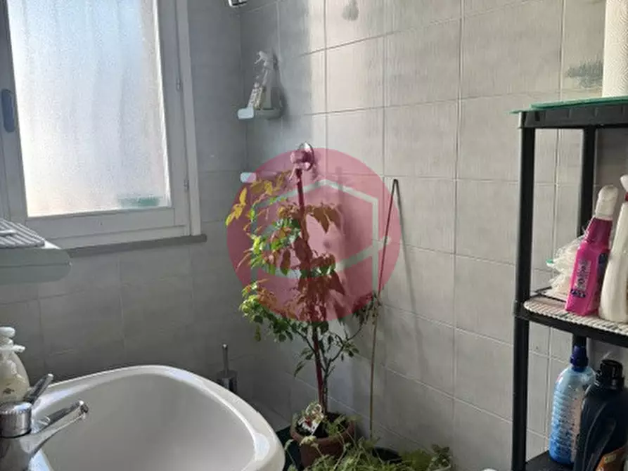 Immagine 13 di Appartamento in vendita  a Novafeltria