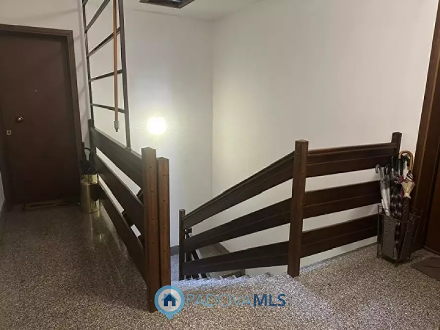 Immagine 15 di Appartamento in vendita  in Via Marco Polo a Cadoneghe