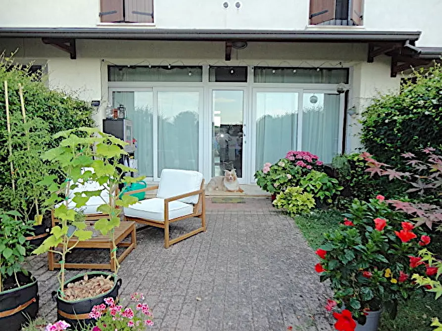 Immagine 1 di Appartamento in affitto  in Viale Nereo Rocco a Padova