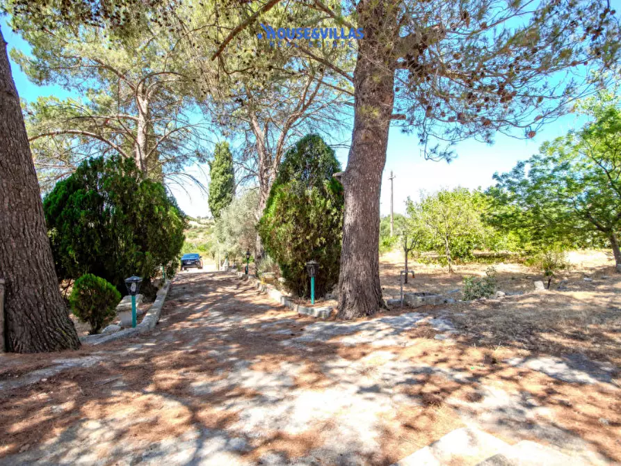 Immagine 9 di Villa in vendita  in Contrada spinita a Avola