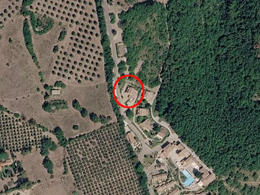 Immagine 10 di Appartamento in vendita  in Località Padelletti, zona Sterpeti snc a Magliano In Toscana