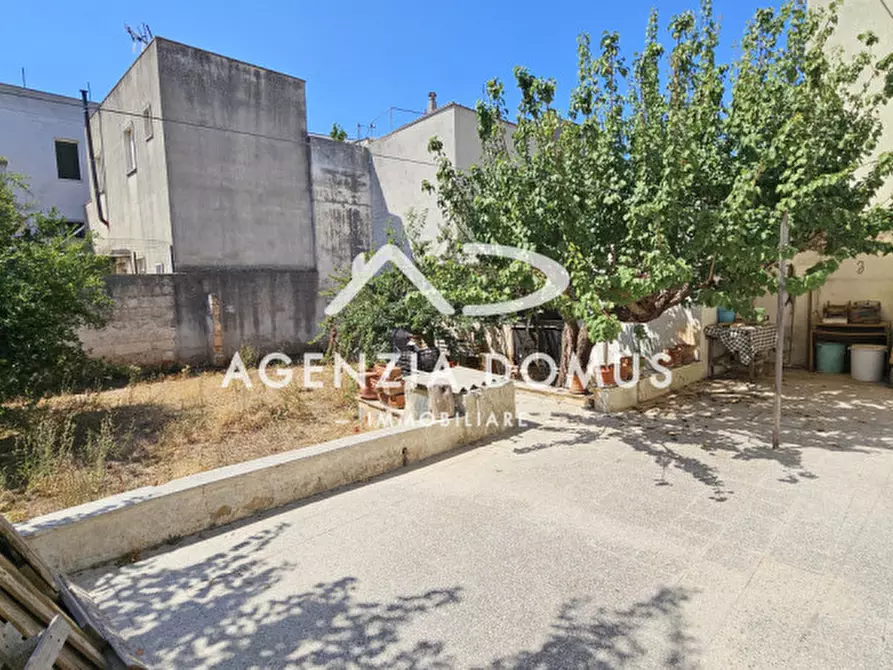 Immagine 21 di Casa indipendente in vendita  in Via Don Minzoni 4 a Racale
