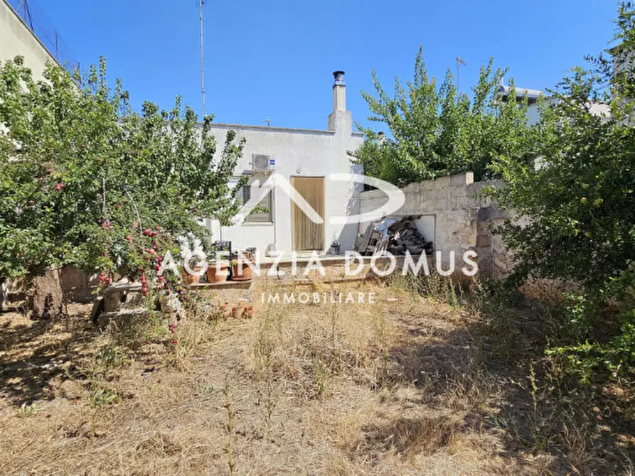 Immagine 23 di Casa indipendente in vendita  in Via Don Minzoni 4 a Racale
