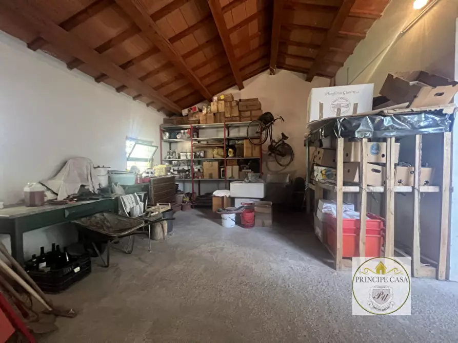 Immagine 59 di Casa indipendente in vendita  in Via Palugana a Ospedaletto Euganeo