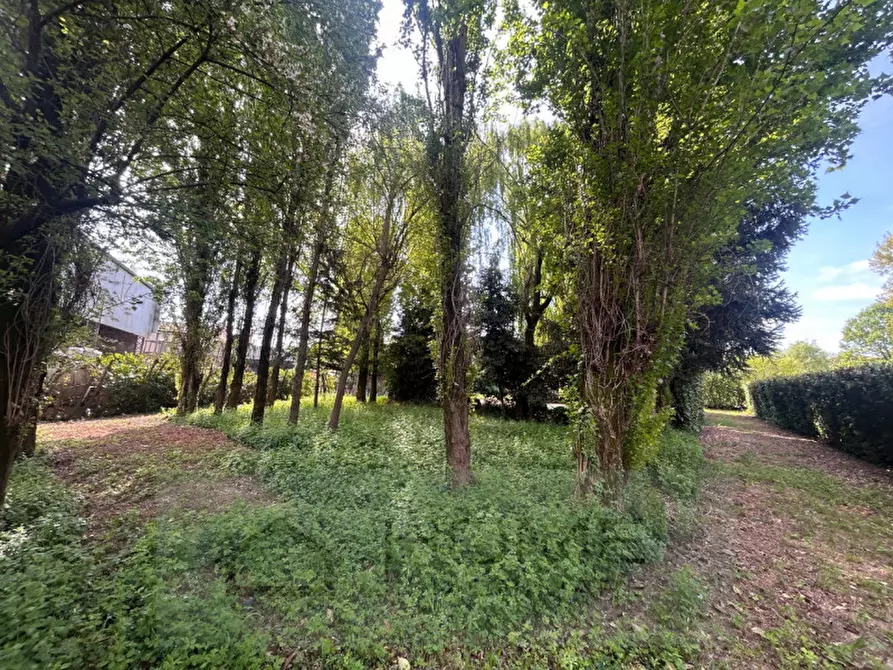 Immagine 1 di Terreno in vendita  in Via Roma a Rovolon