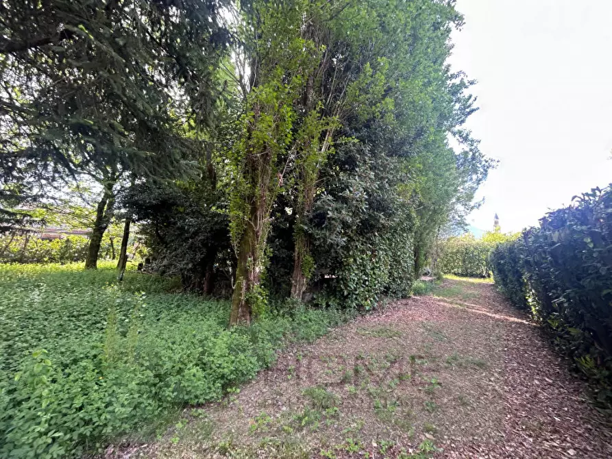 Immagine 2 di Terreno in vendita  in Via Roma a Rovolon