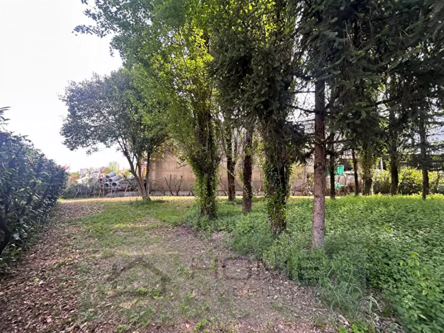 Immagine 3 di Terreno in vendita  in Via Roma a Rovolon