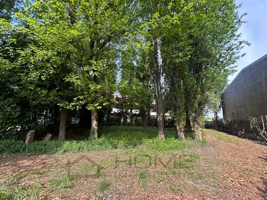 Immagine 4 di Terreno in vendita  in Via Roma a Rovolon