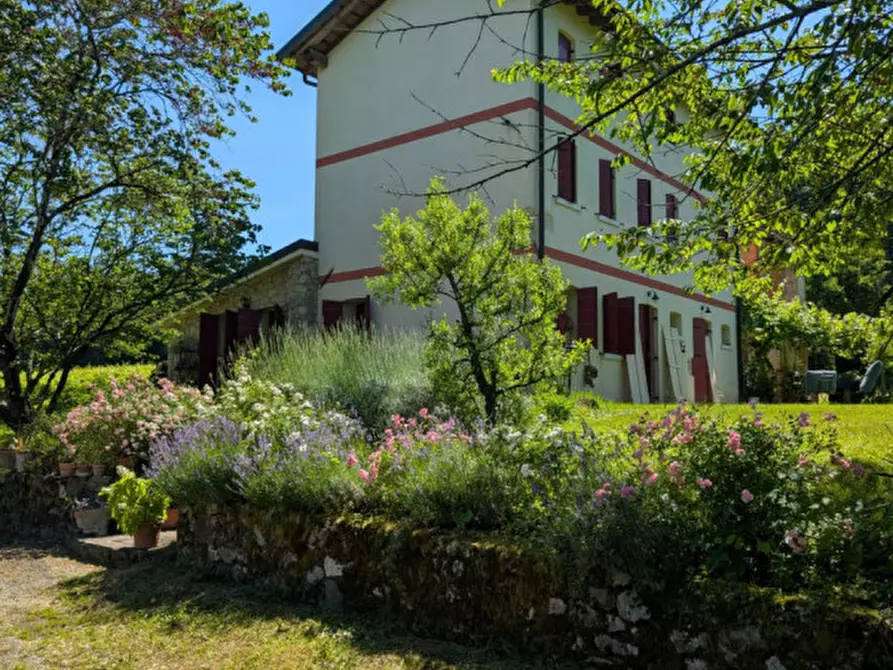 Immagine 3 di Casa indipendente in vendita  a Susegana